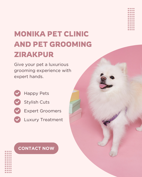 Cover photo of Monika Pet Clinic & Pet Grooming Zirakpur | Pet Clinic & Pet Grooming at Home